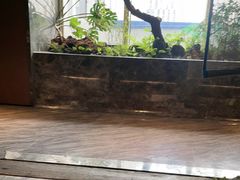 -海立阁海鲜江浙菜(漕河泾印象城店)