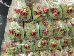 -歌斐颂巧克力小镇