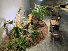 -J Create城市露营咖啡·简餐·宠物(上海动物园店)