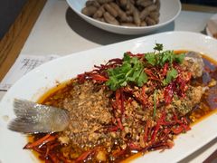 -杨氏青龙虾·羊蝎子(金盛路总店)