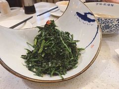 西北特色山野菜-伊祥·敦煌楼