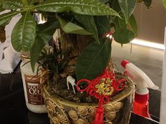 -得闲·高空SPA(东盟店)