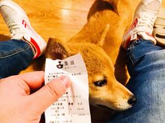 -美迦爱-牙专科·兔科·骨科诊疗中心(北苑店)