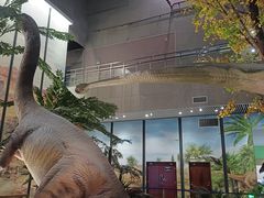 -湖南省地质博物馆