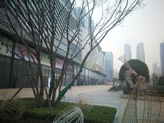 -合景·悠方(成都店)