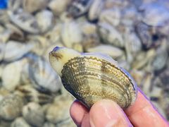 -悦海·家宴·冰花皮皮虾大锅贴(宝龙店)