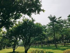 -万绿园