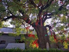 -杨家埠民间艺术大观园