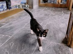 -九花山烤鸭店