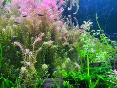 -上海海洋水族馆