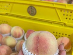 -老袁家蜜桃农场·阳山水蜜桃