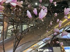 -中粮·祥云小镇