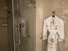 -圣爵菲斯大酒店(长沙世界之窗店)