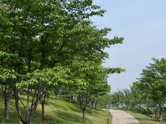-羊山湖公园