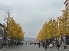 -杭州城北体育公园