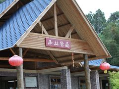 -南丹山森林王国