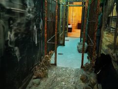 -北京动物园-畅观楼