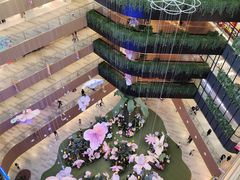 -渡娘火锅(大兴大悦春风里店)