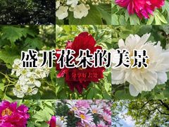 -北陵公园