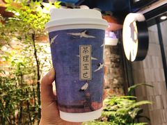 烟雨乌龙-茶理宜世(东方宝泰店)