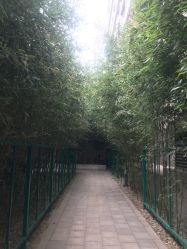 -北京英煌医疗美容