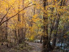 -叠溪松坪沟景区