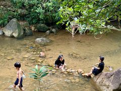 -广州白江湖森林公园