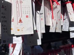 -成都蓝城悦杏温泉美食酒店(宽窄巷子店)
