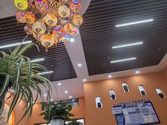 -马旭土鸡焖花卷新疆菜大盘鸡·真域顺西域美食(天马大道店)