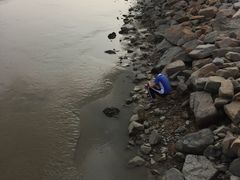 -宝安西湾红树林湿地公园