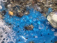 活鲍鱼-乔哥铭洋海鲜自助(皇城恒隆广场店)