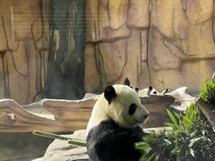 -泉州海丝野生动物世界