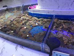 -澜悦港海鲜体验主题餐厅