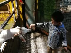 -上海大自然野生昆虫馆(东方明珠·爬宠昆虫探索中心)