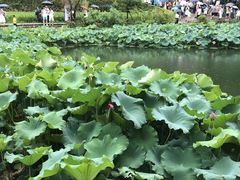 -韶山毛泽东同志故居