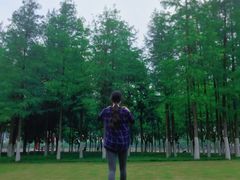 -西北湖绿化广场
