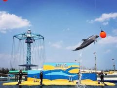 -秦皇岛乐岛海洋王国