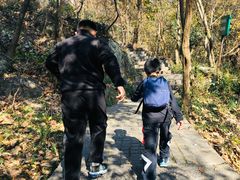 -紫金山山顶公园