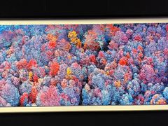 -罗红摄影艺术馆