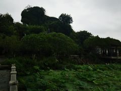 -惠州西湖丰渚园