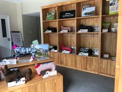 -爱妮康宠物医院·干细胞免疫细胞·肿瘤·心脏(张江店)