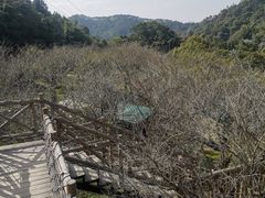 -广东天露山旅游度假区