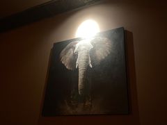 -菩泰·泰式草本按摩SPA(武汉新天地南馆店)