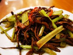 茶树菇炒牛柳-牧羊餐厅