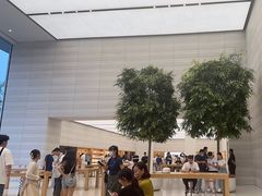 -Apple零售店(济南恒隆广场店)