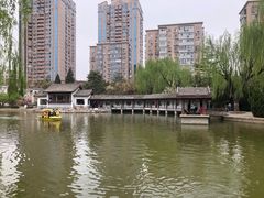 -团结湖公园