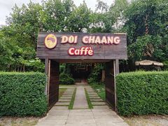 -DOI CHAANG Caffè Maesuai