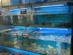 -老东镇啤酒屋海鲜加工·蒸汽海鲜·海鲜烧烤(台东店)