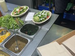 -油梨树AVOCADO TREE(顺义新国展店)