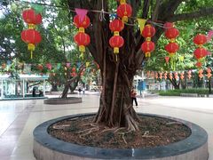 -垂虹公园